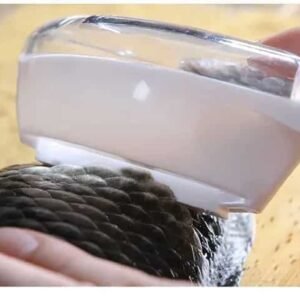 Alternative view of مقشارة قشور السمك لون أبيض